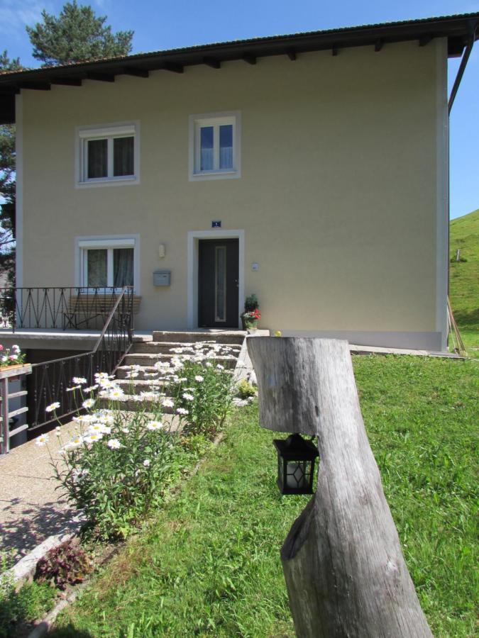 Bachhausl Apartment Hof bei Salzburg Exterior photo